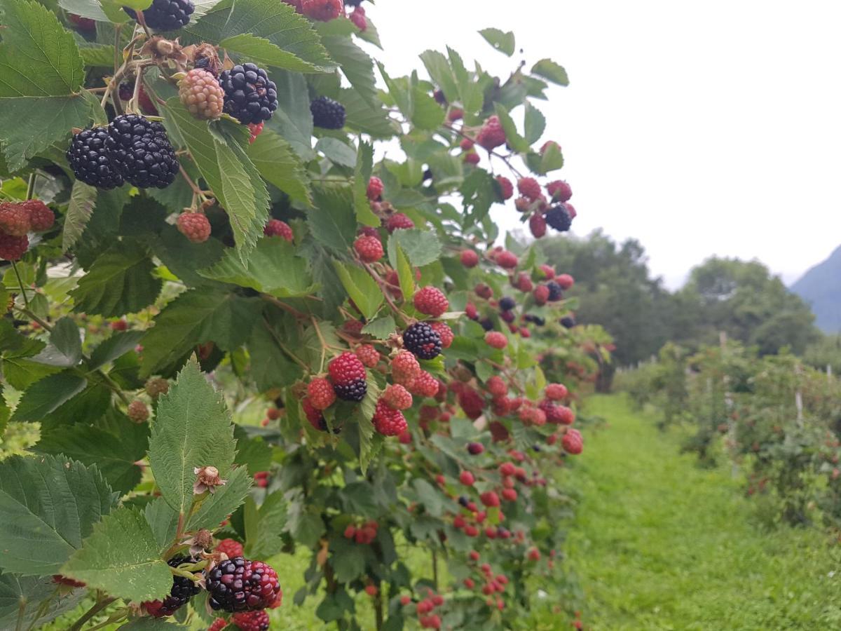 Agriturismo La Giasena Panzió Ponte nellʼAlpi Kültér fotó