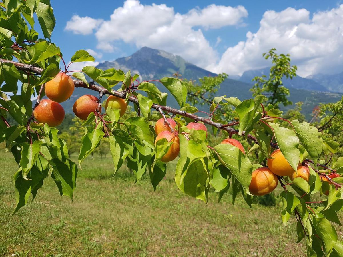 Agriturismo La Giasena Panzió Ponte nellʼAlpi Kültér fotó