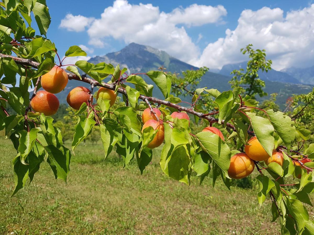 Agriturismo La Giasena Ponte nellʼAlpi Kültér fotó