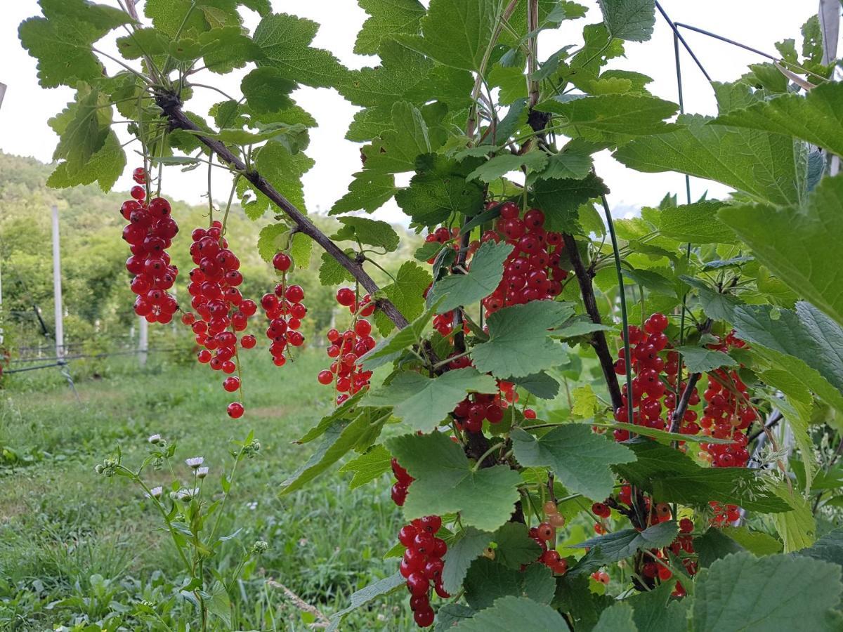 Agriturismo La Giasena Panzió Ponte nellʼAlpi Kültér fotó