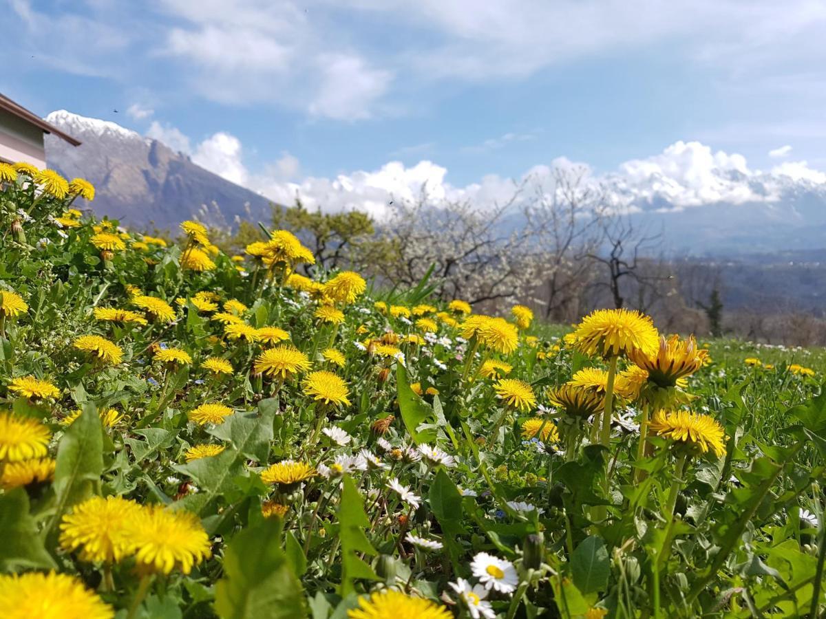 Agriturismo La Giasena Panzió Ponte nellʼAlpi Kültér fotó