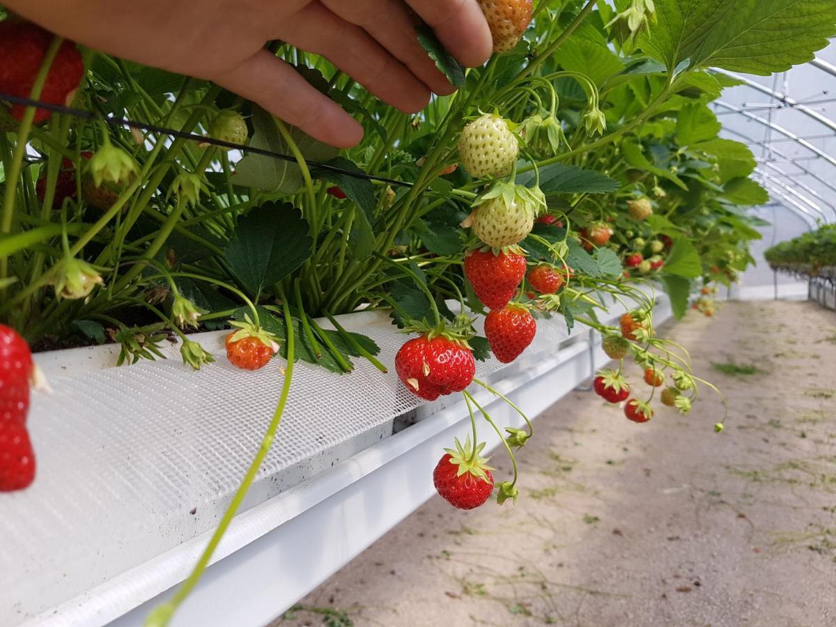 Agriturismo La Giasena Panzió Ponte nellʼAlpi Kültér fotó