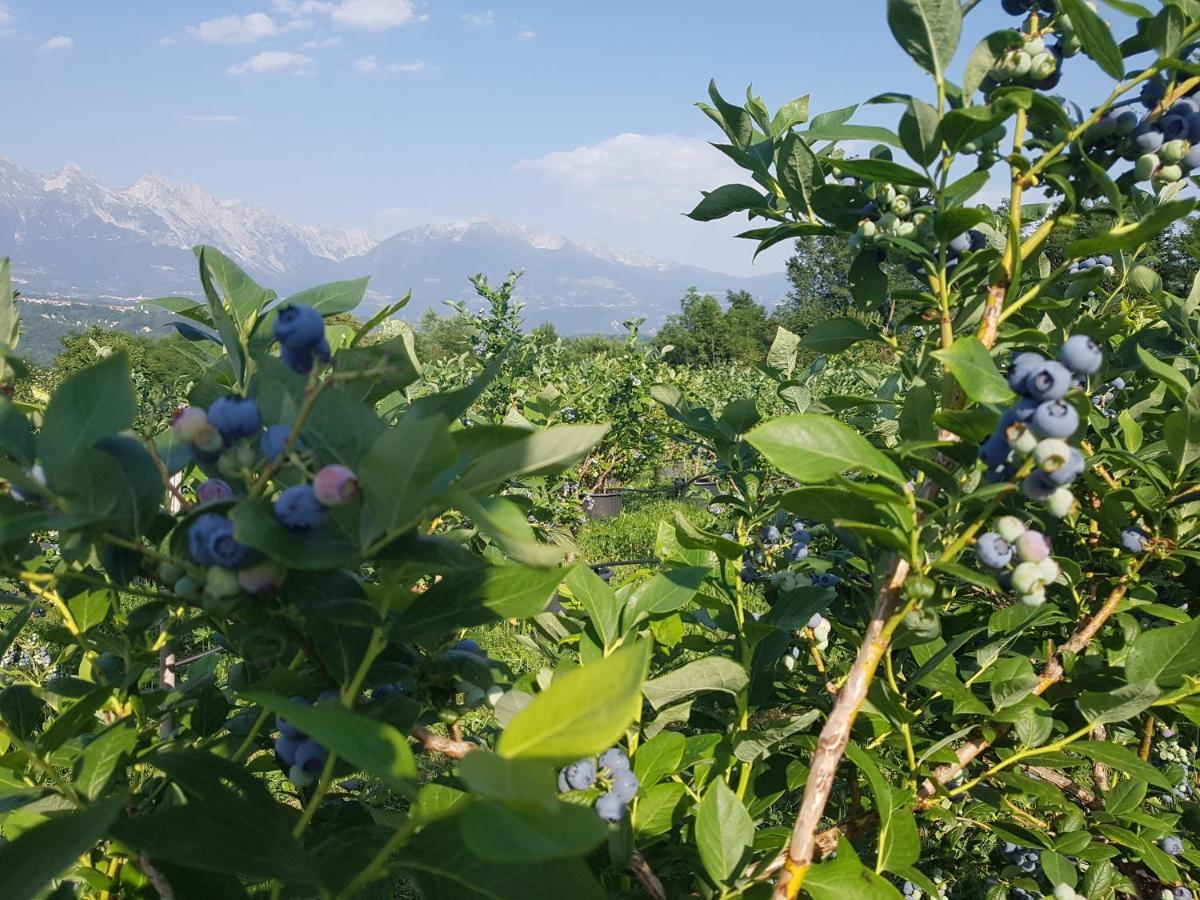 Agriturismo La Giasena Panzió Ponte nellʼAlpi Kültér fotó