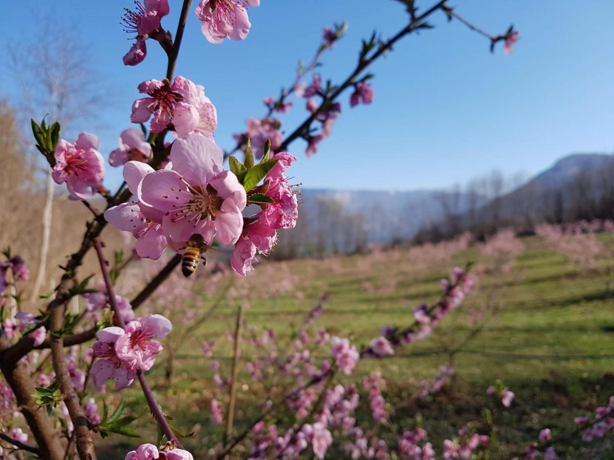 Agriturismo La Giasena Ponte nellʼAlpi Kültér fotó