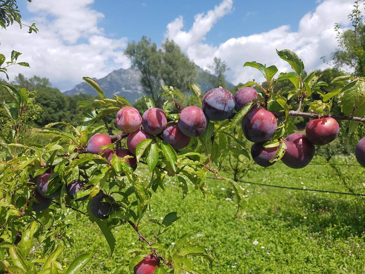 Agriturismo La Giasena Panzió Ponte nellʼAlpi Kültér fotó